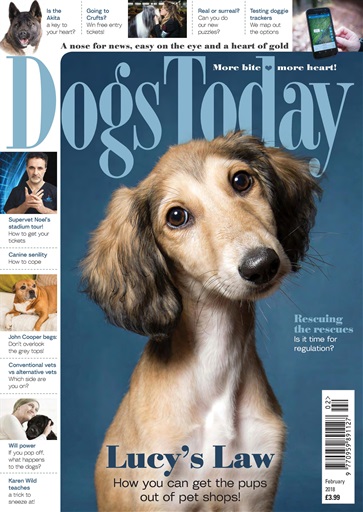 Dogs Today Magazine issue 