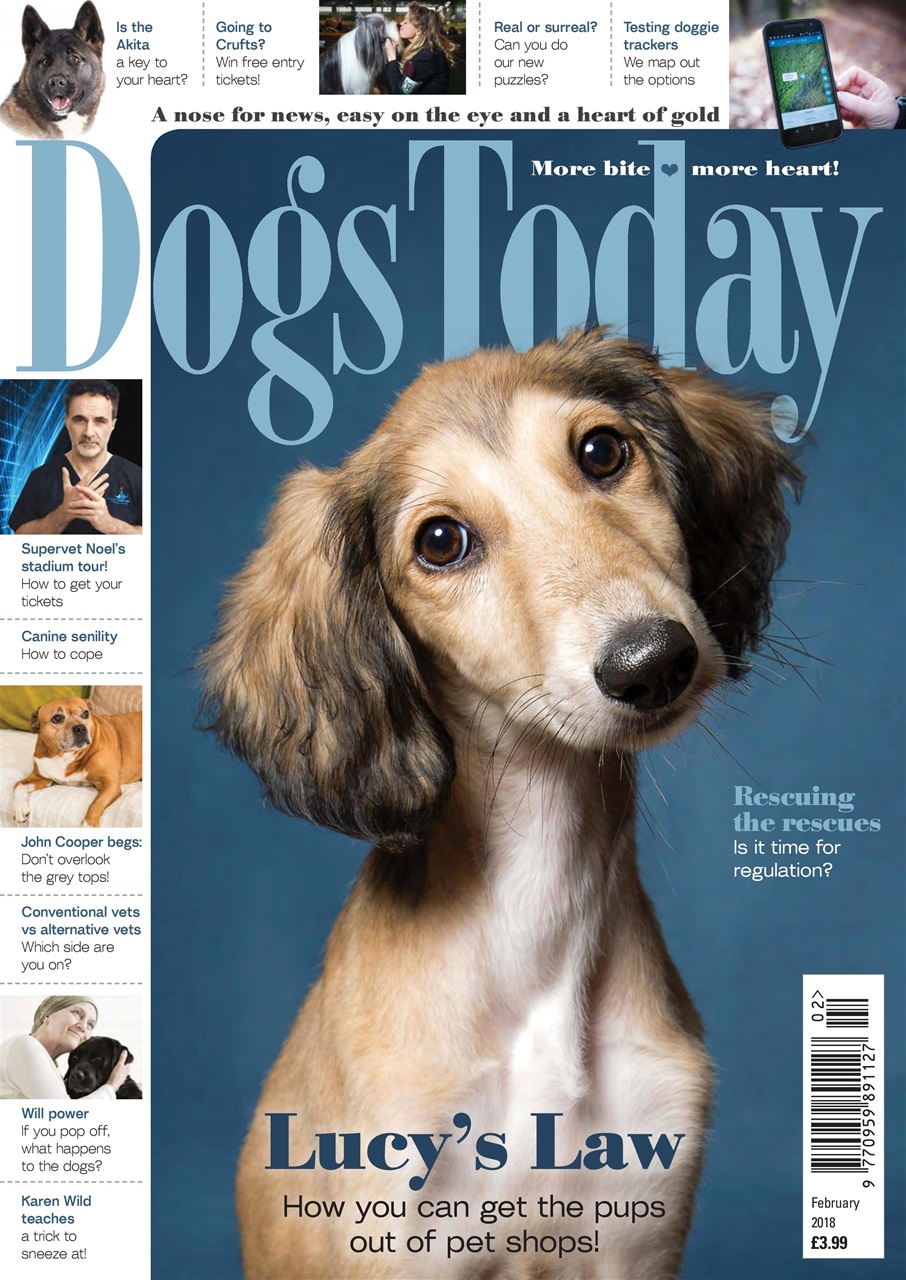 Dogs Today Magazine Preview Pages