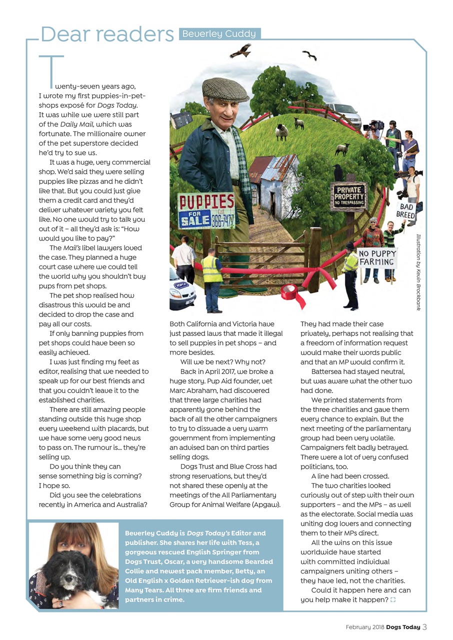 Dogs Today Magazine Preview Pages