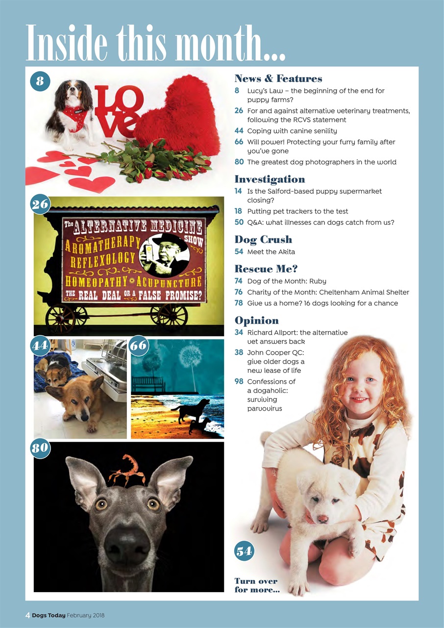 Dogs Today Magazine Preview Pages