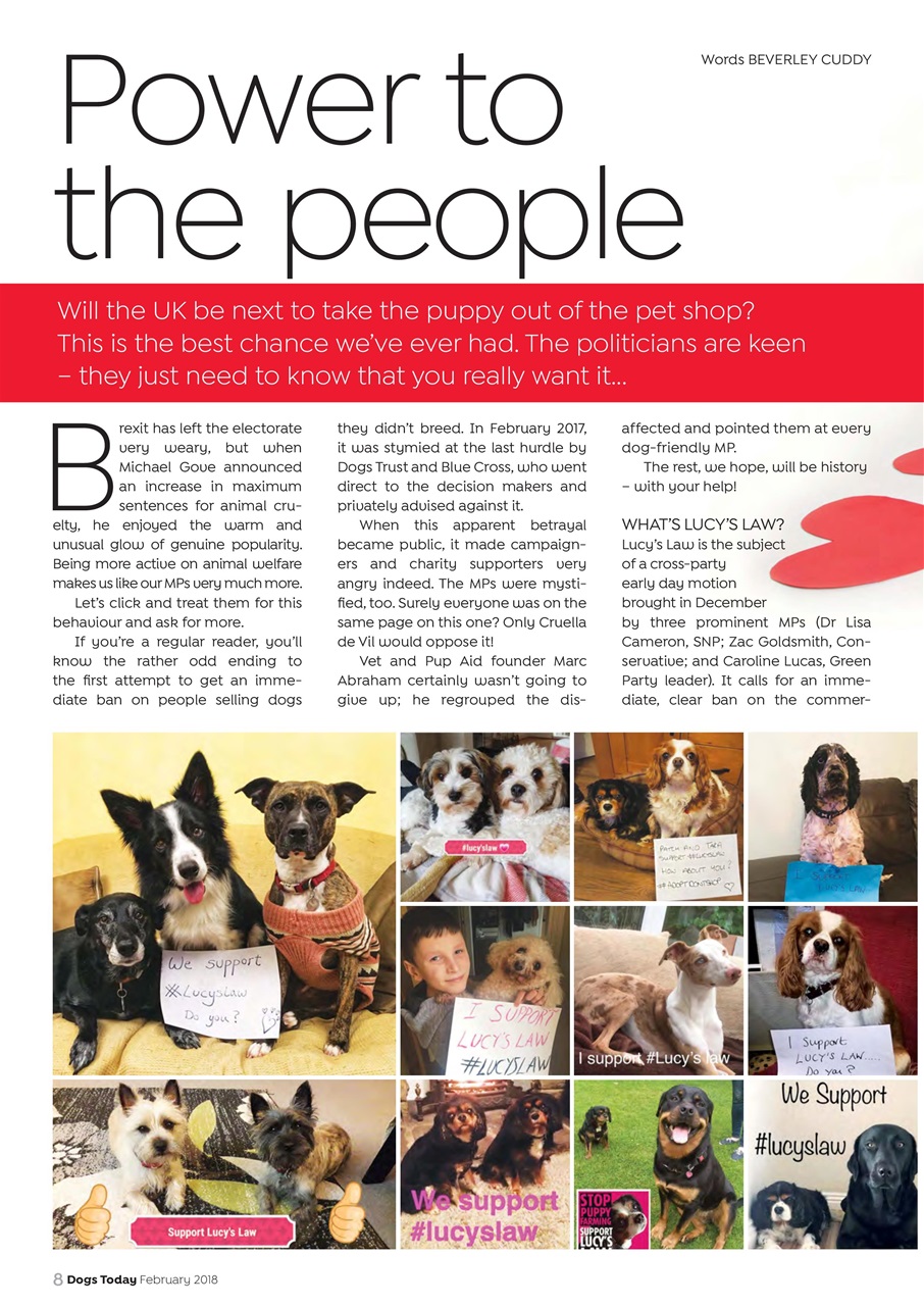 Dogs Today Magazine Preview Pages