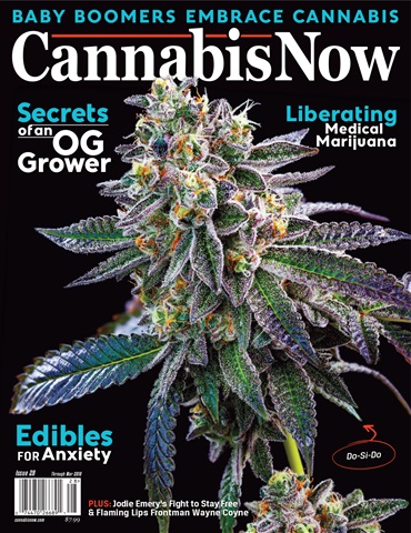 Cannabis Now issue Issue 28