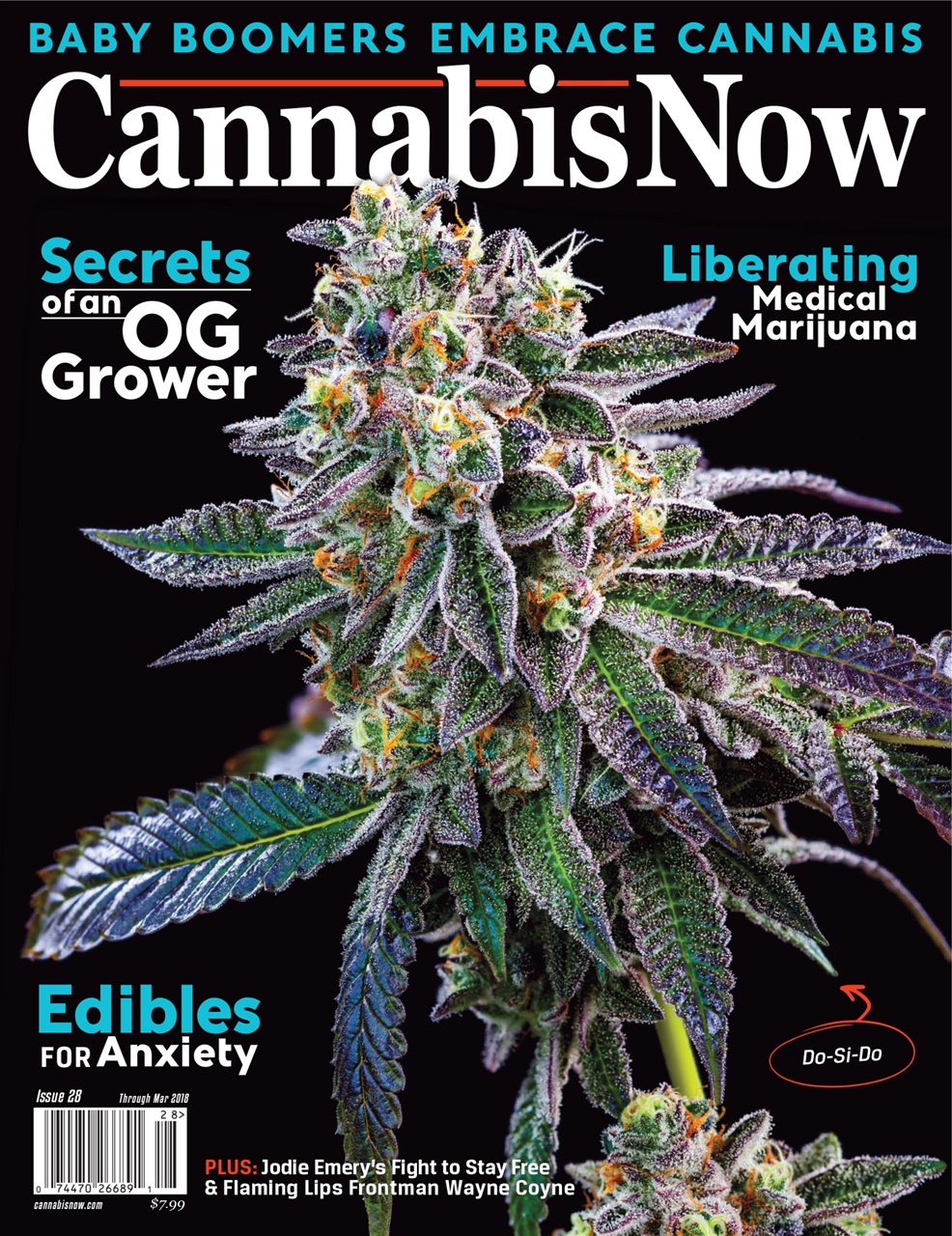 Cannabis Now Preview Pages