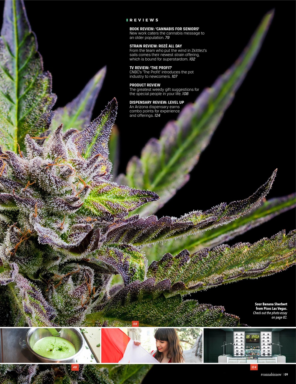 Cannabis Now Preview Pages
