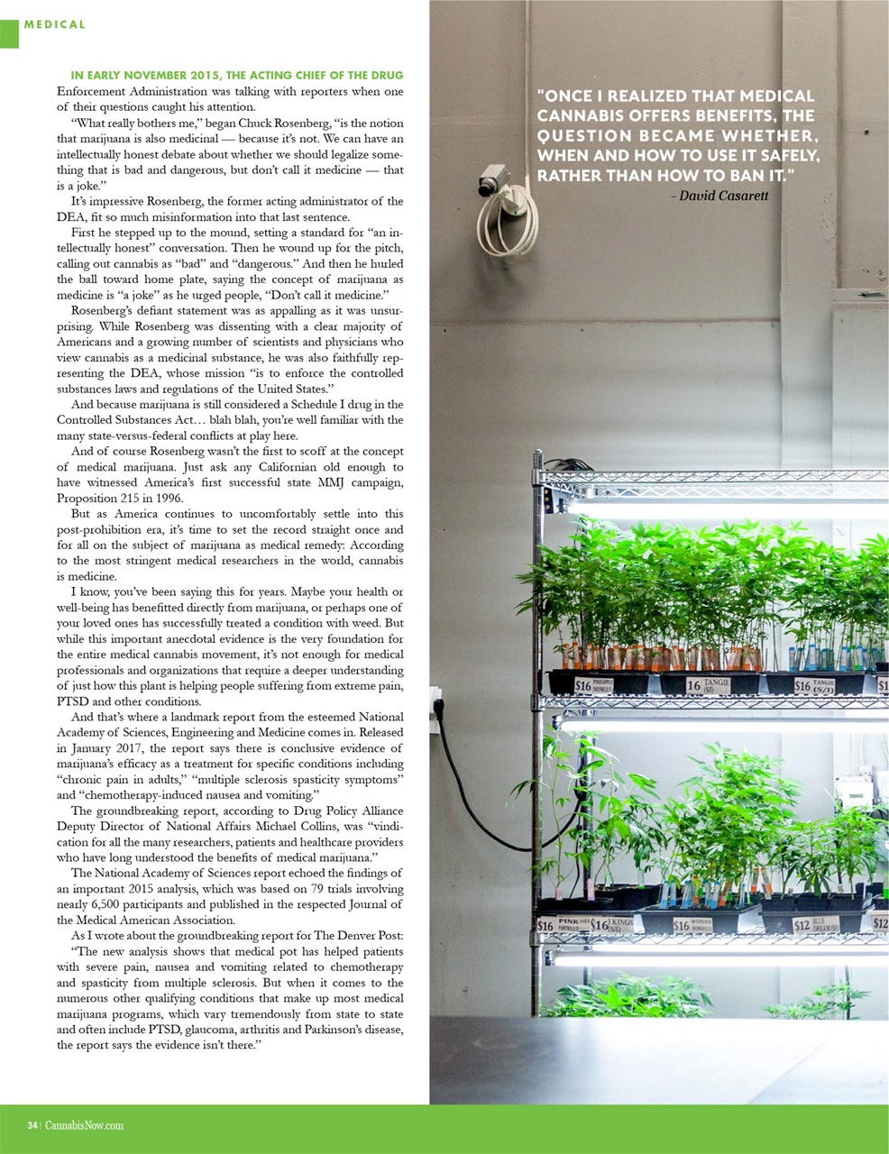 Cannabis Now Preview Pages