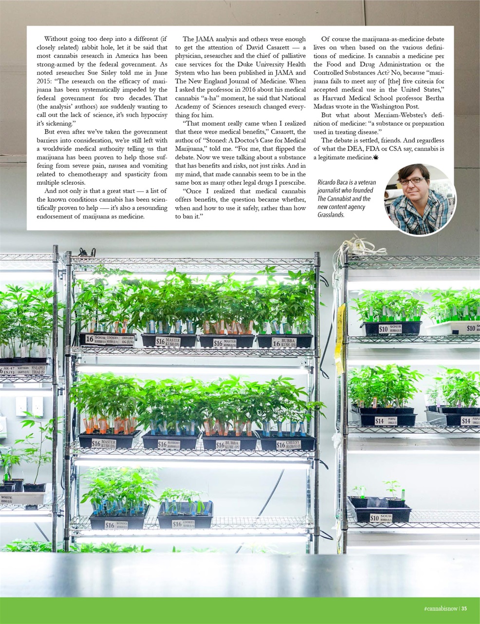 Cannabis Now Preview Pages