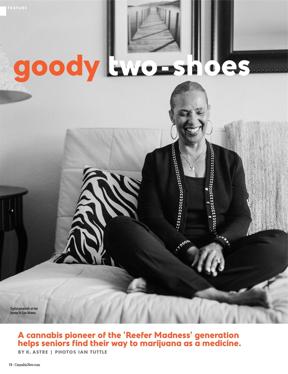 Cannabis Now Preview Pages