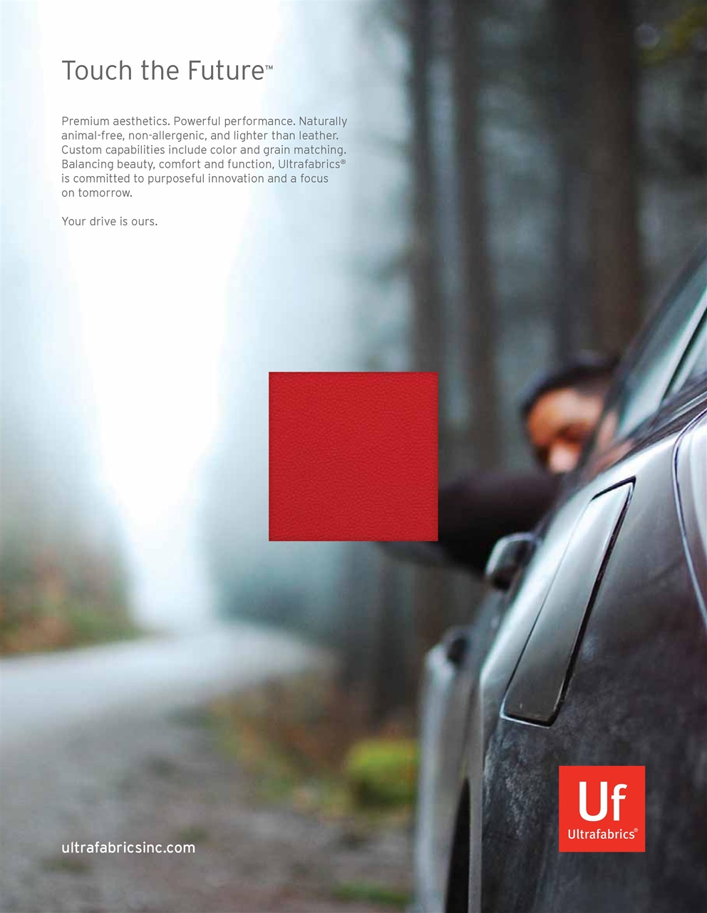 Interior Motives Preview Pages