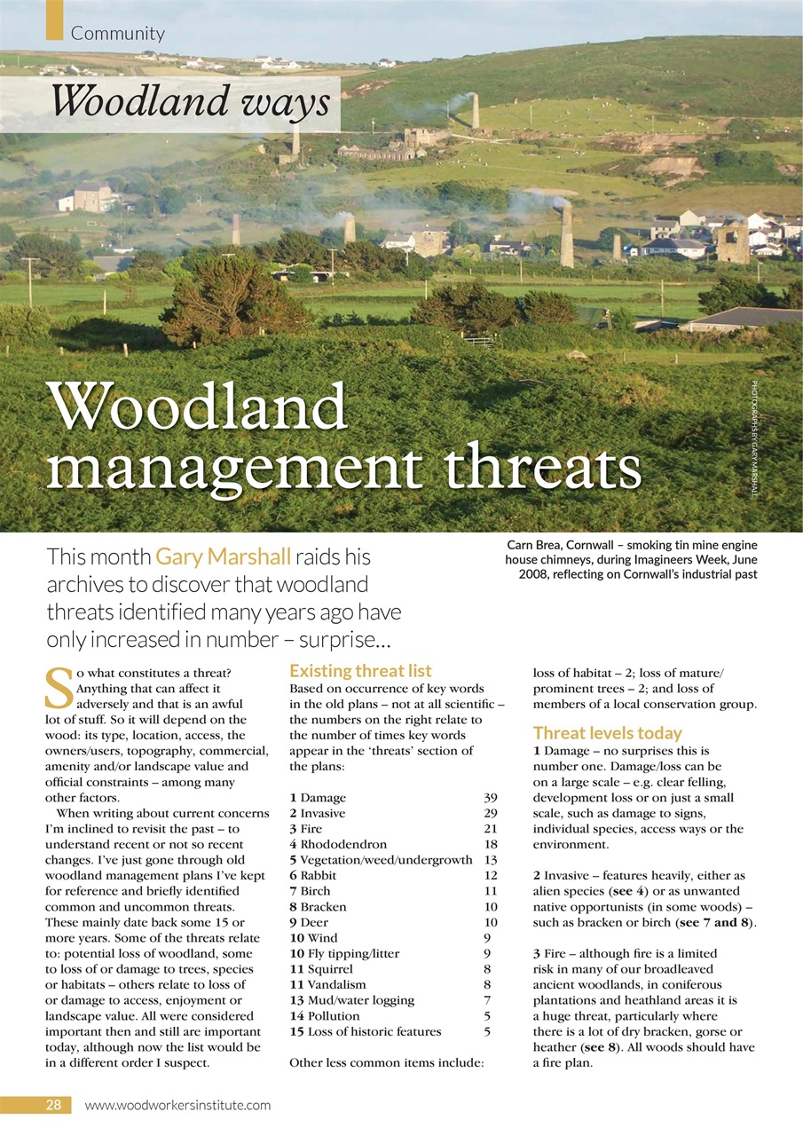 Woodworking Crafts Magazine Preview Pages