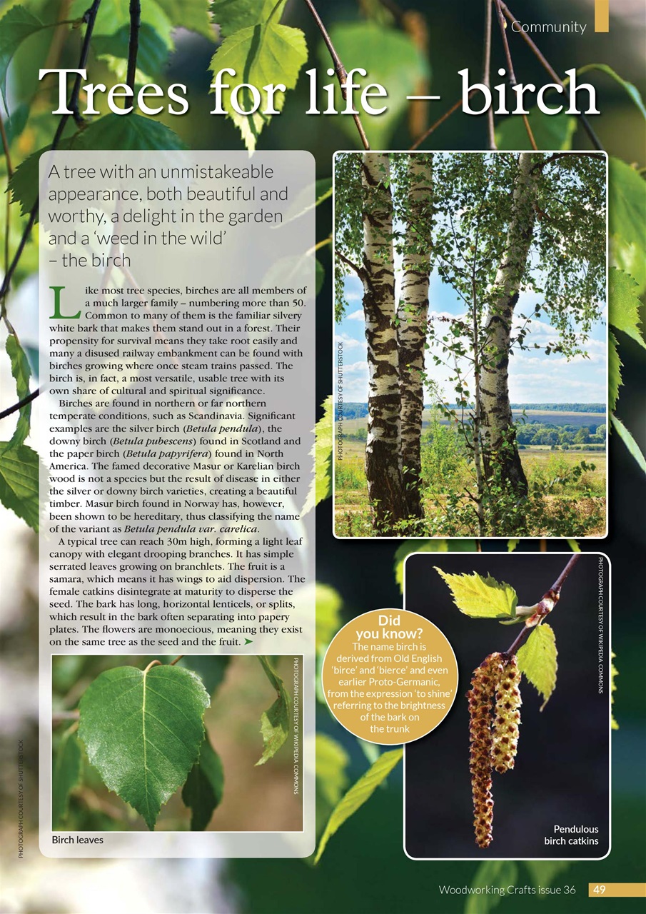 Woodworking Crafts Magazine Preview Pages