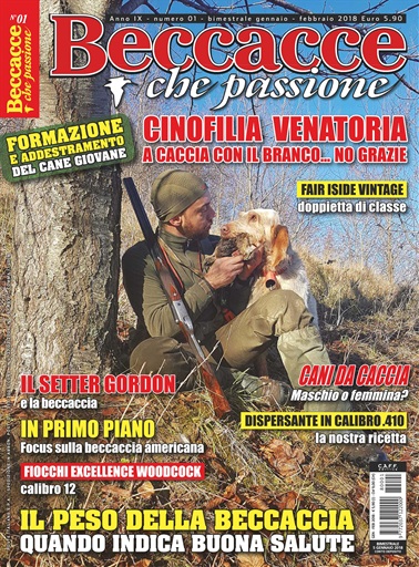 BECCACCE CHE PASSIONE issue 