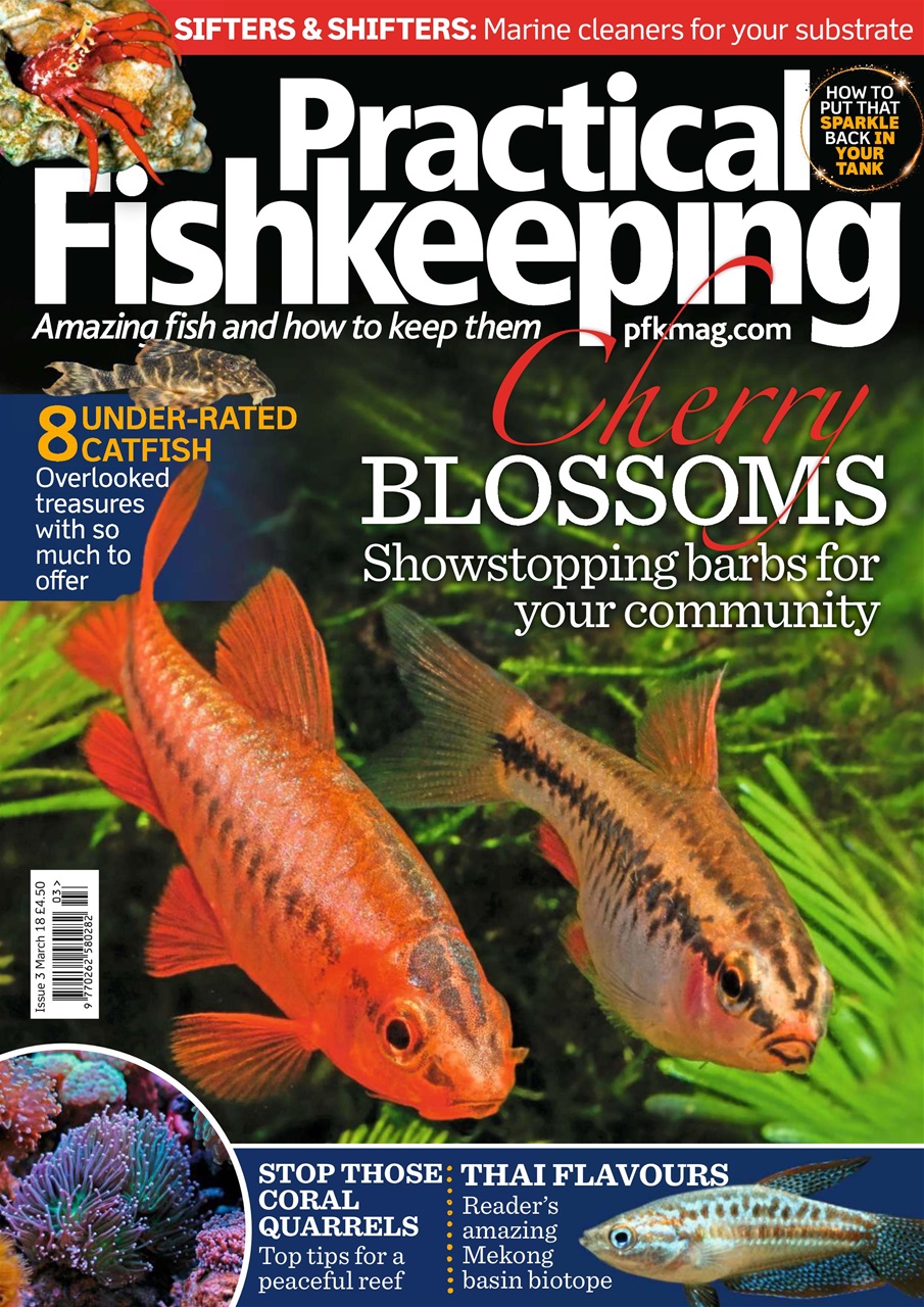 Practical Fishkeeping Preview Pages