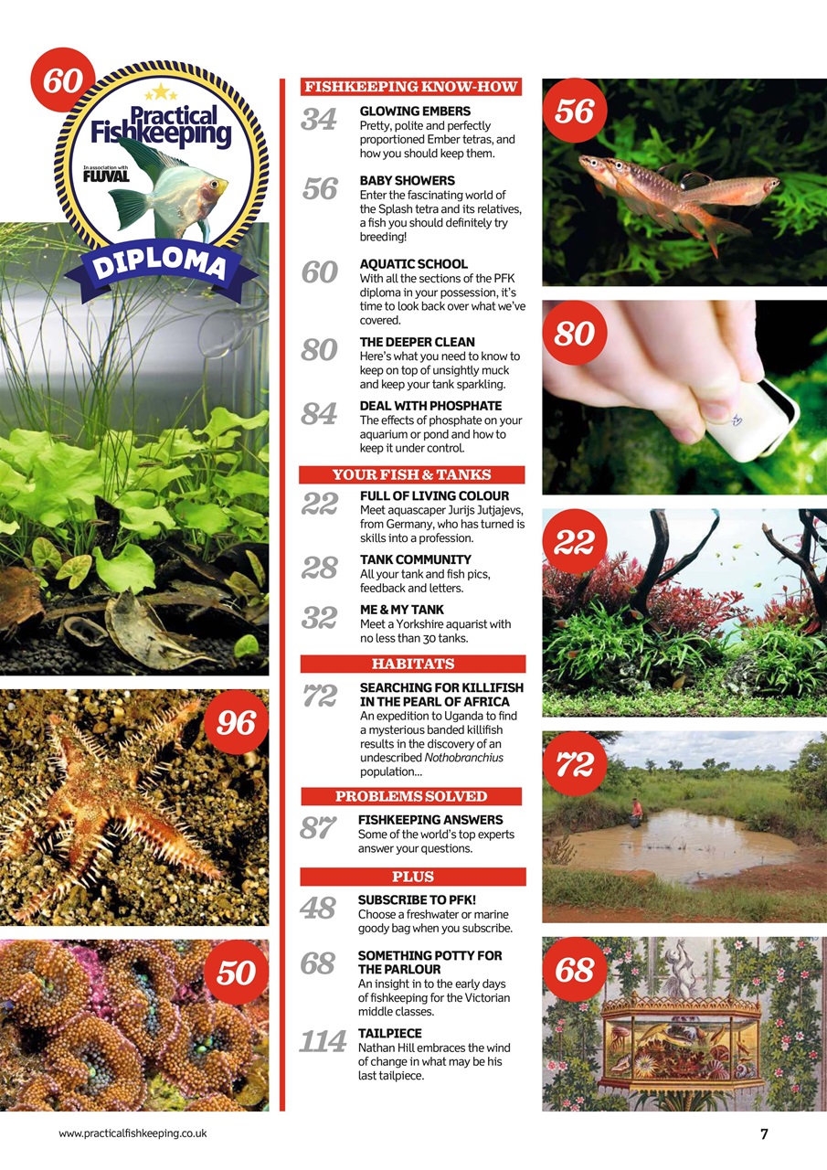 Practical Fishkeeping Preview Pages