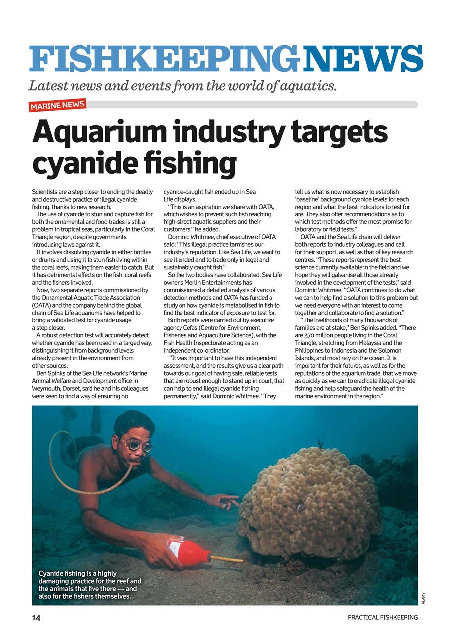 Practical Fishkeeping Preview Pages