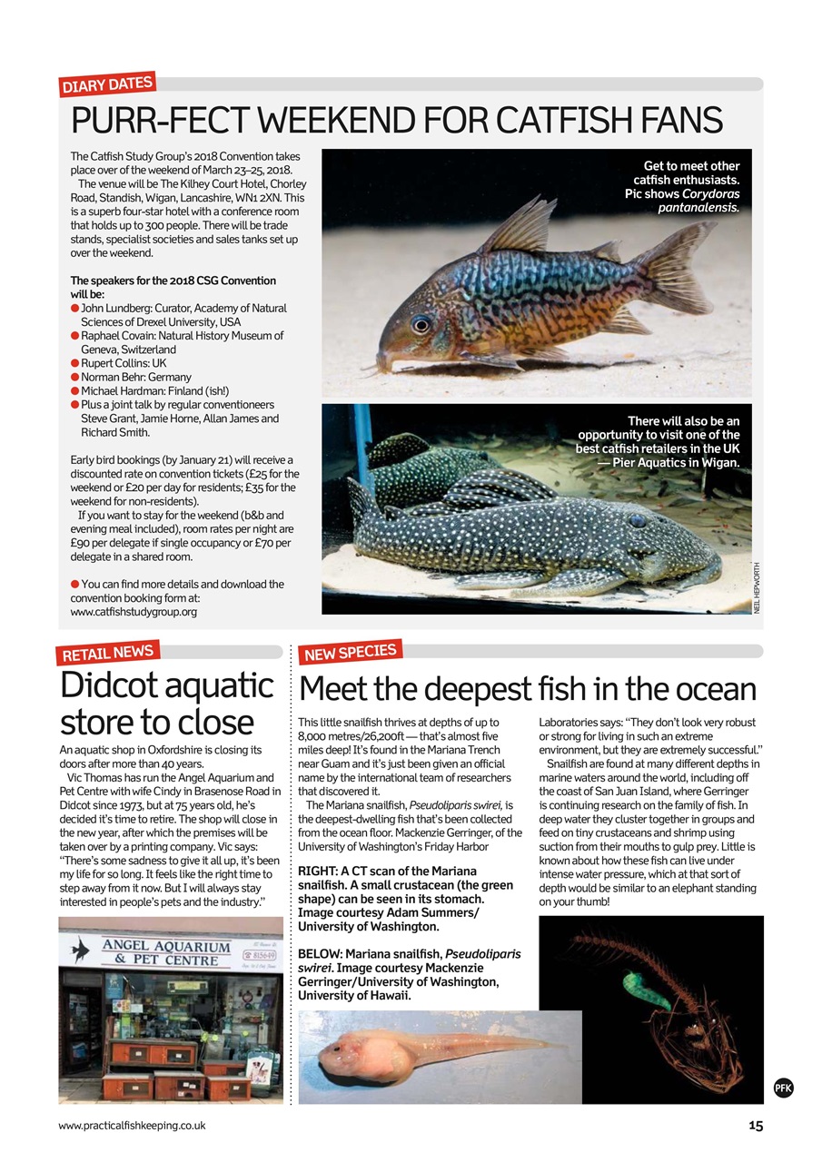 Practical Fishkeeping Preview Pages