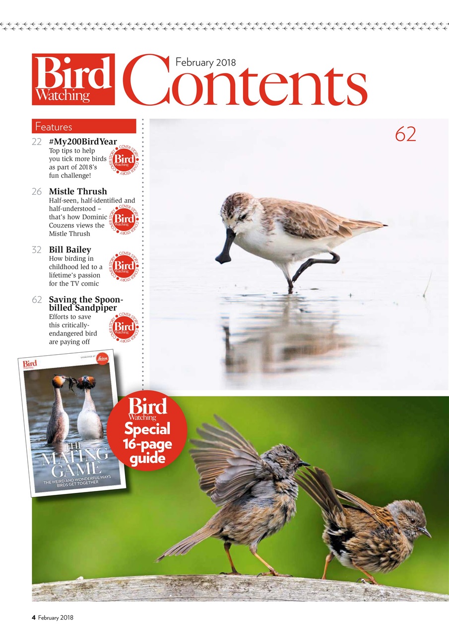 Bird Watching Preview Pages