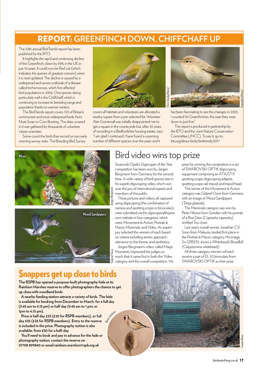 Bird Watching Preview Pages