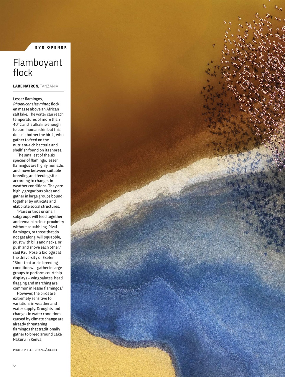 BBC Science Focus Magazine Preview Pages