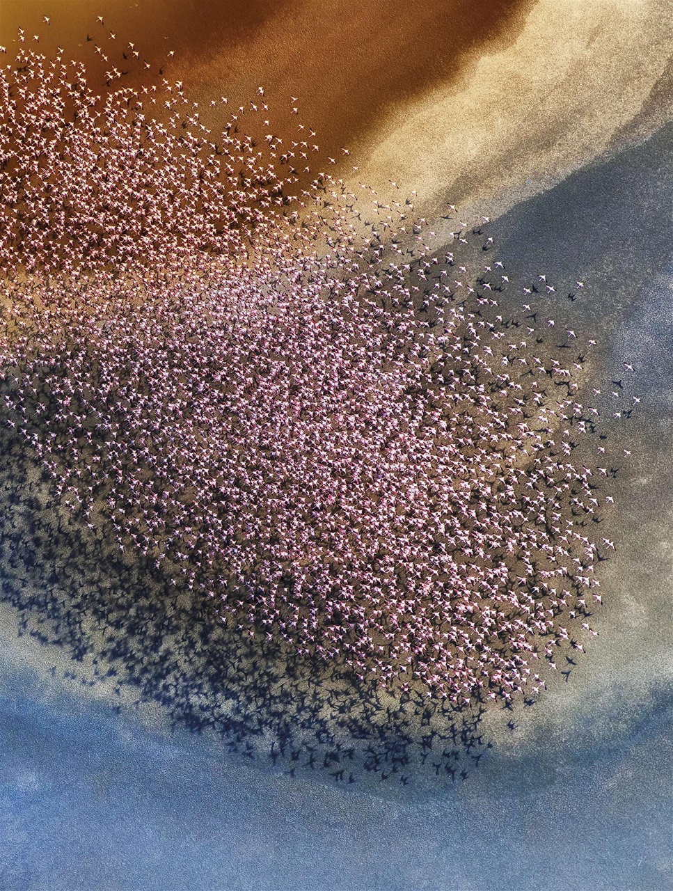 BBC Science Focus Magazine Preview Pages