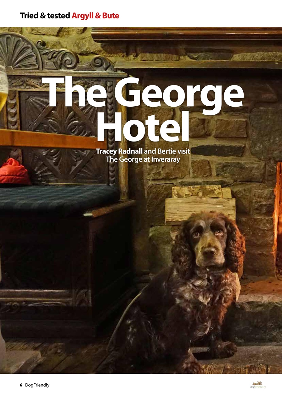 Dog Friendly Preview Pages