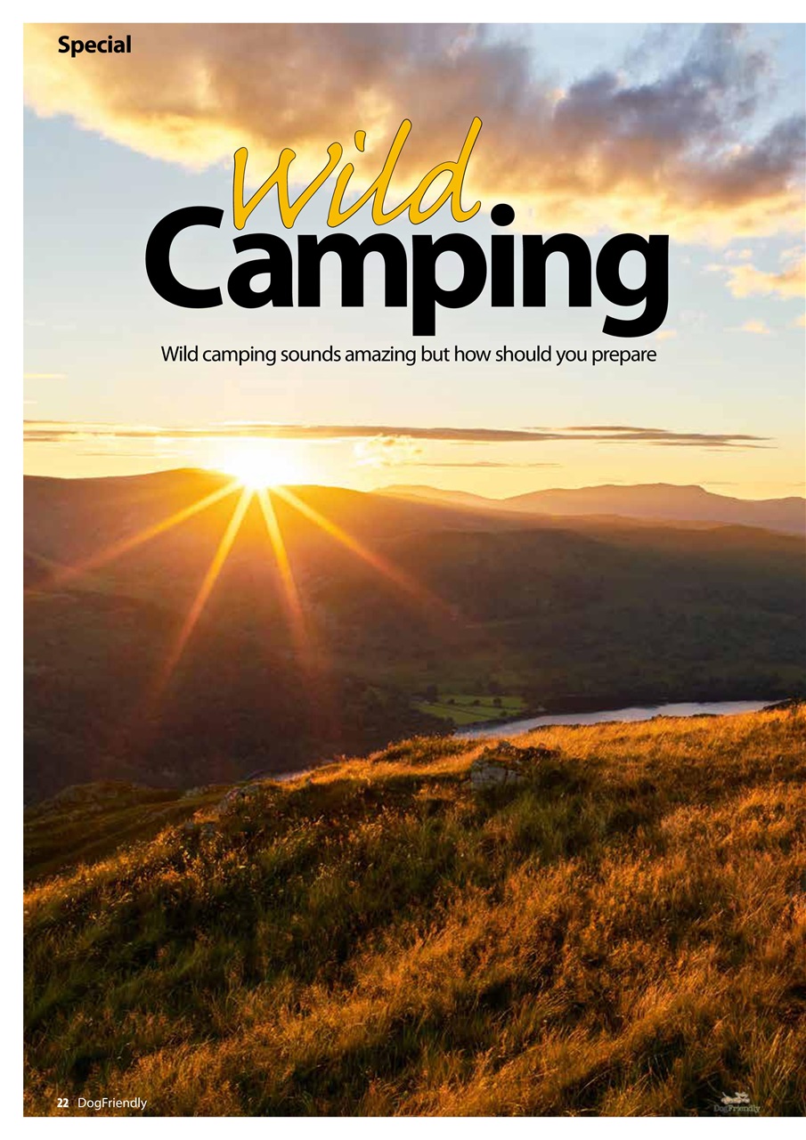 Dog Friendly Preview Pages