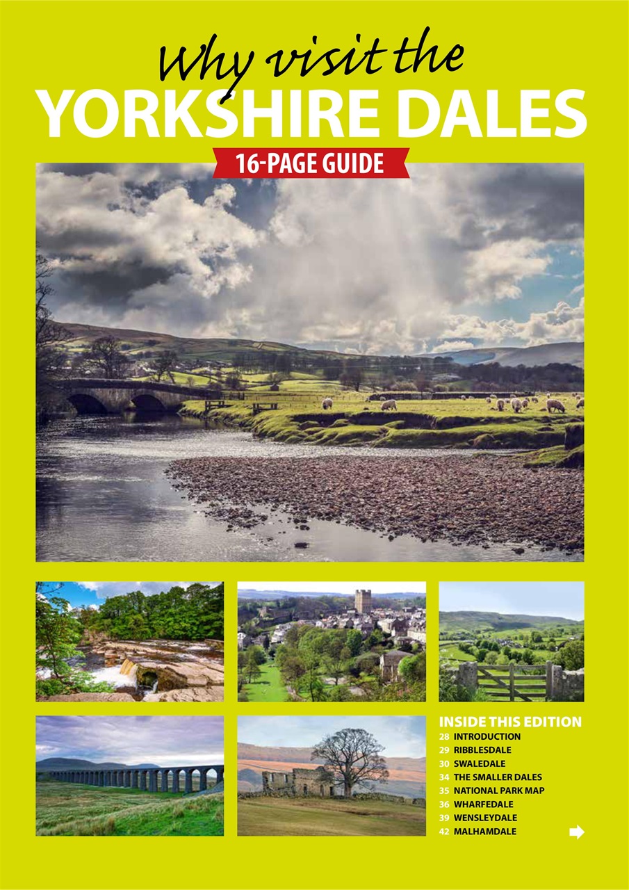 Dog Friendly Preview Pages