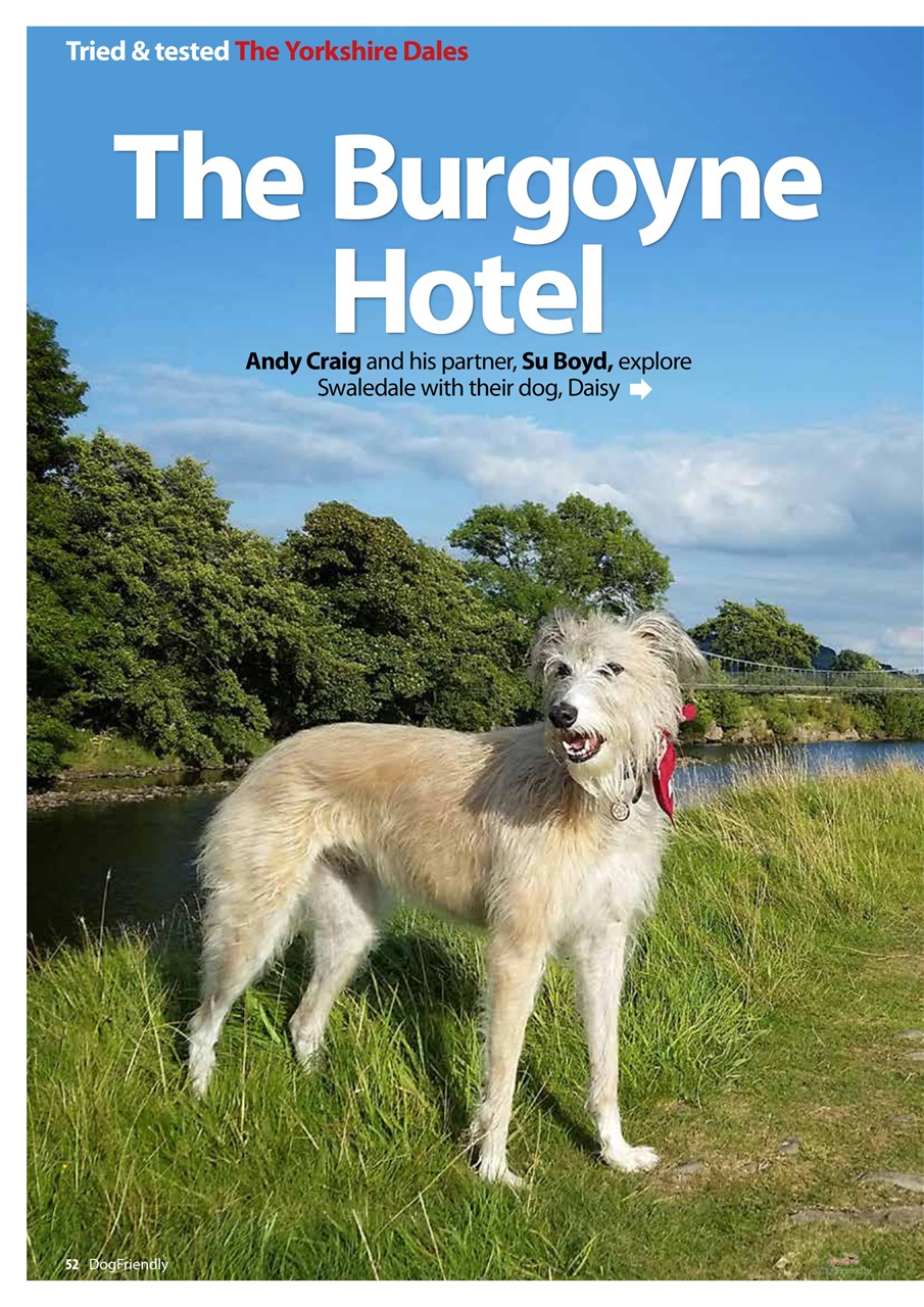 Dog Friendly Preview Pages