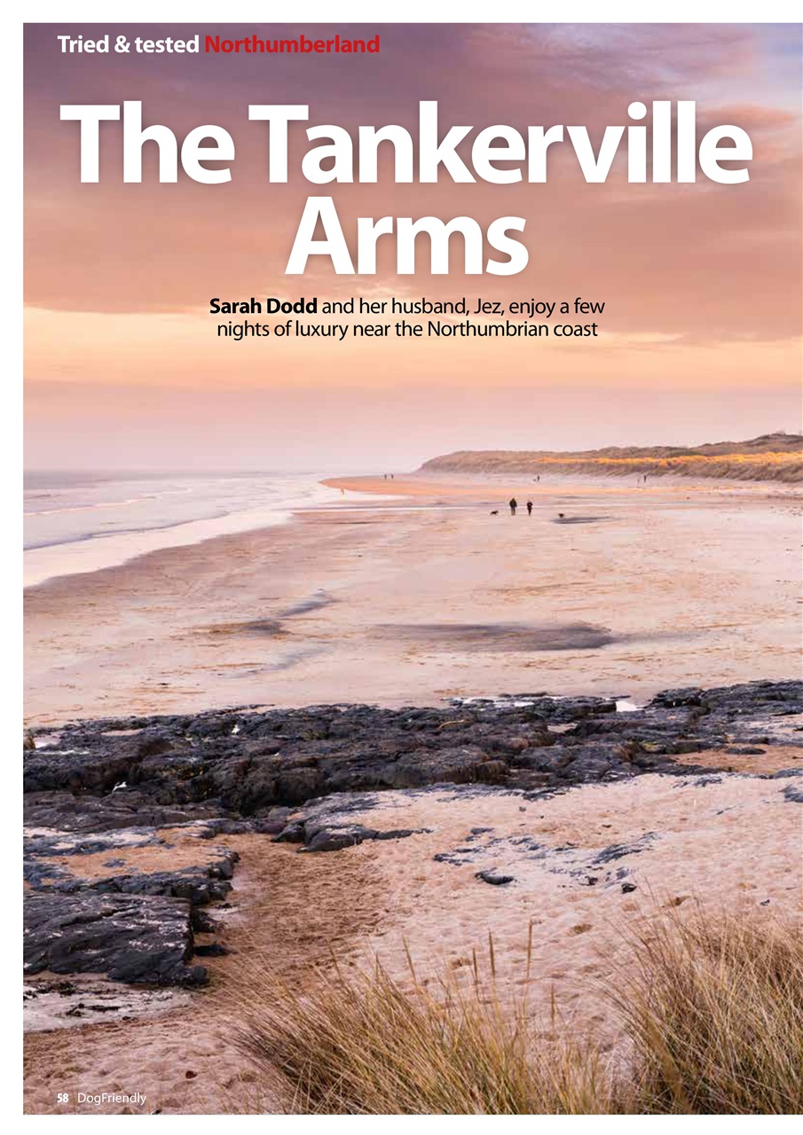 Dog Friendly Preview Pages