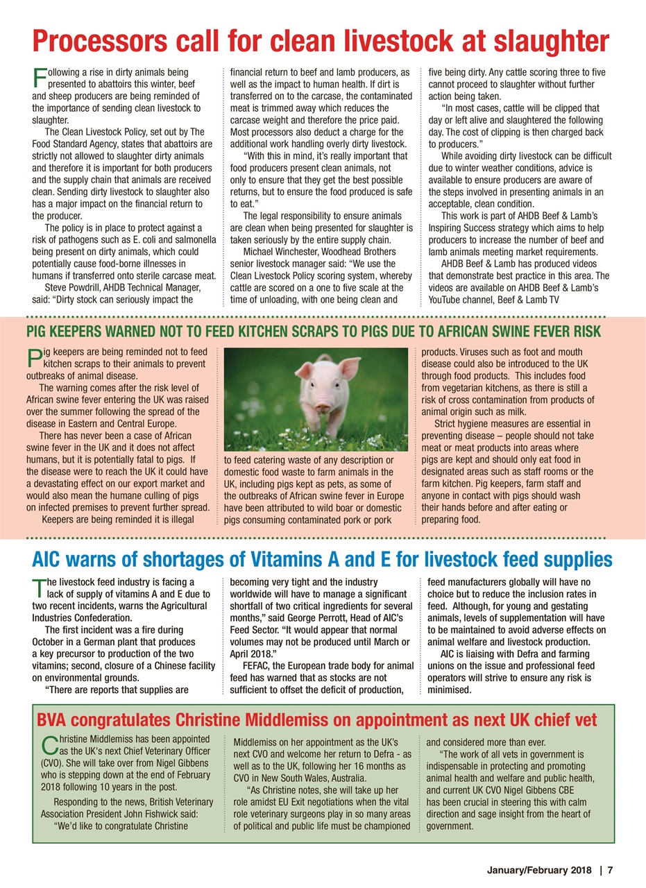 The Smallholder Preview Pages