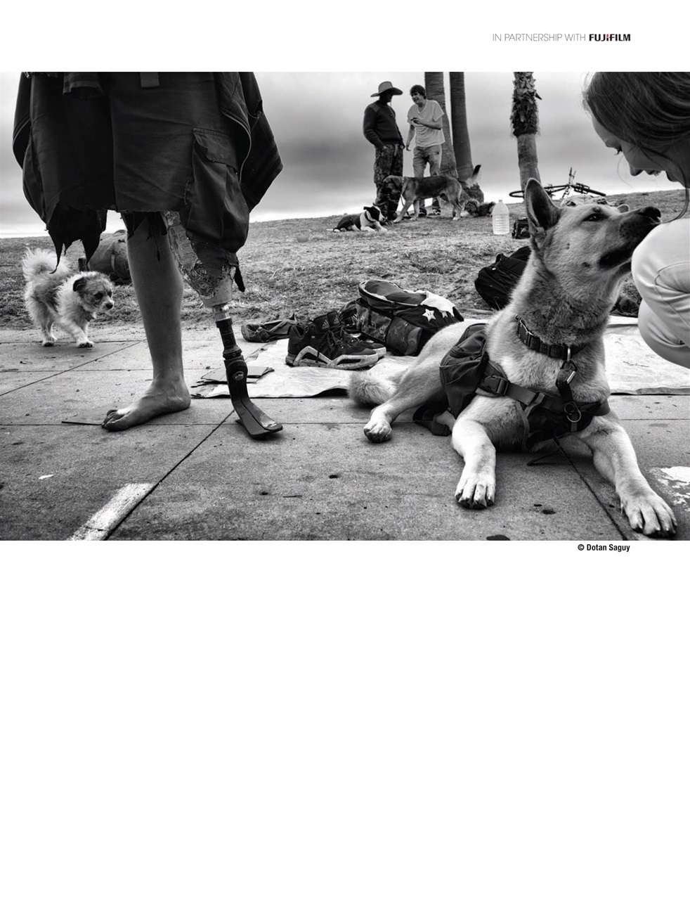 Black+White Photography Preview Pages