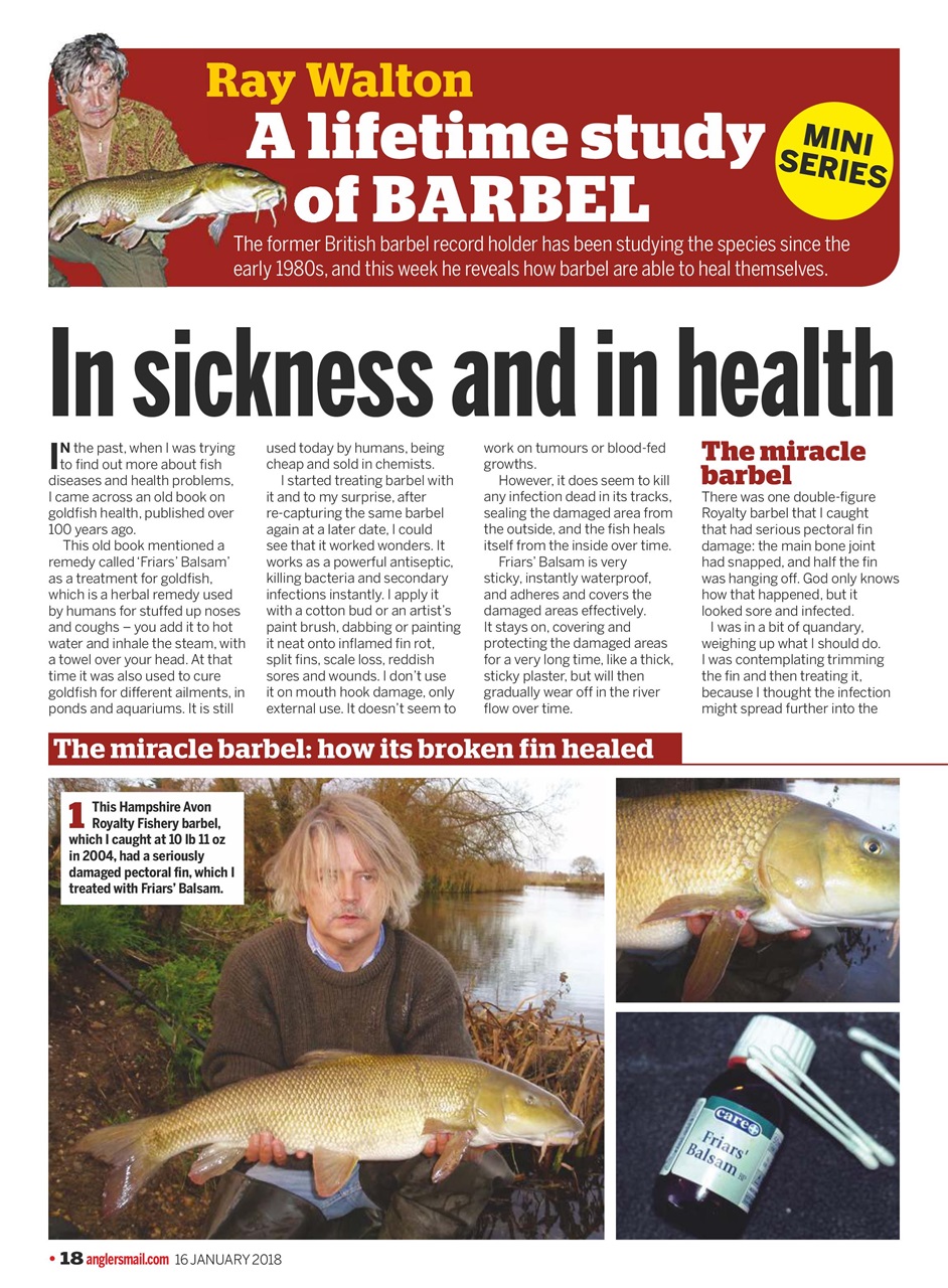 Anglers Mail Preview Pages