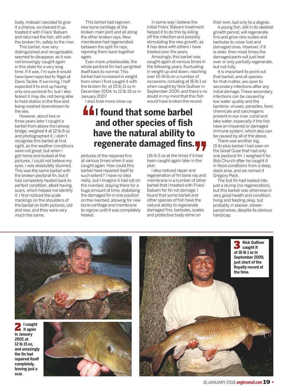 Anglers Mail Preview Pages