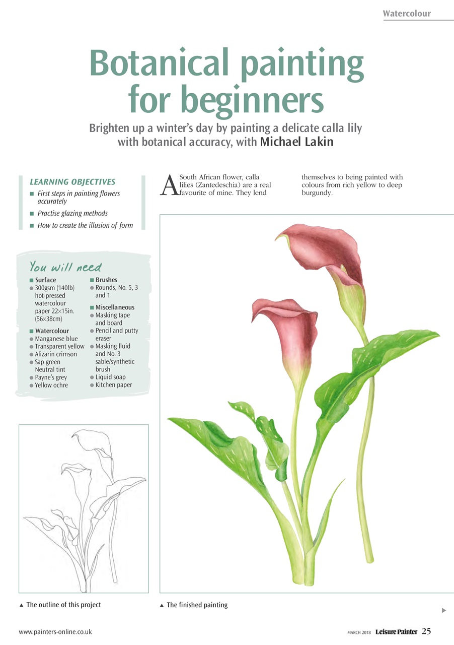 Leisure Painter & The Artist Preview Pages