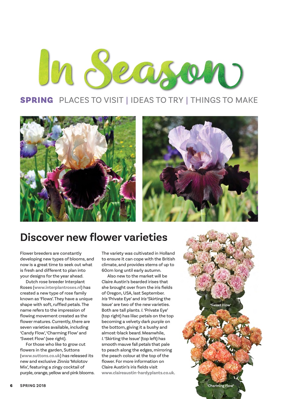 The Flower Arranger Preview Pages