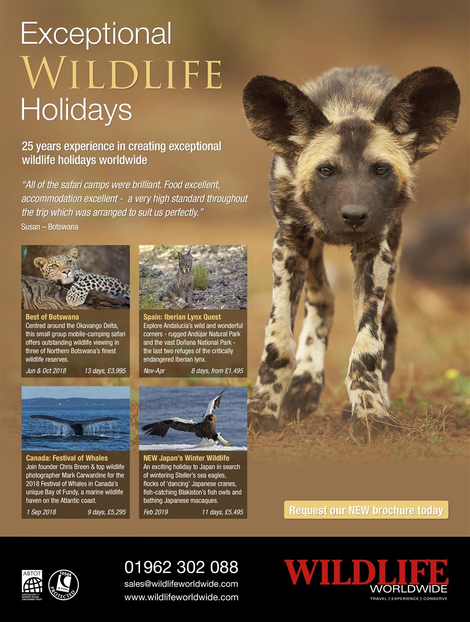 BBC Wildlife Magazine Preview Pages
