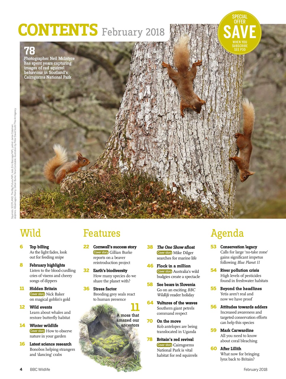 BBC Wildlife Magazine Preview Pages