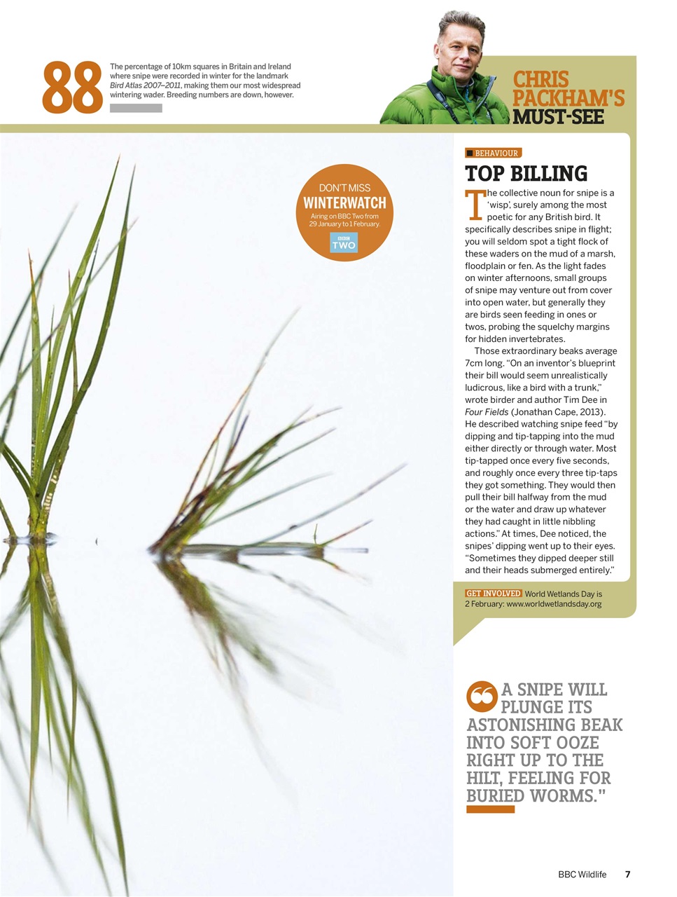 BBC Wildlife Magazine Preview Pages