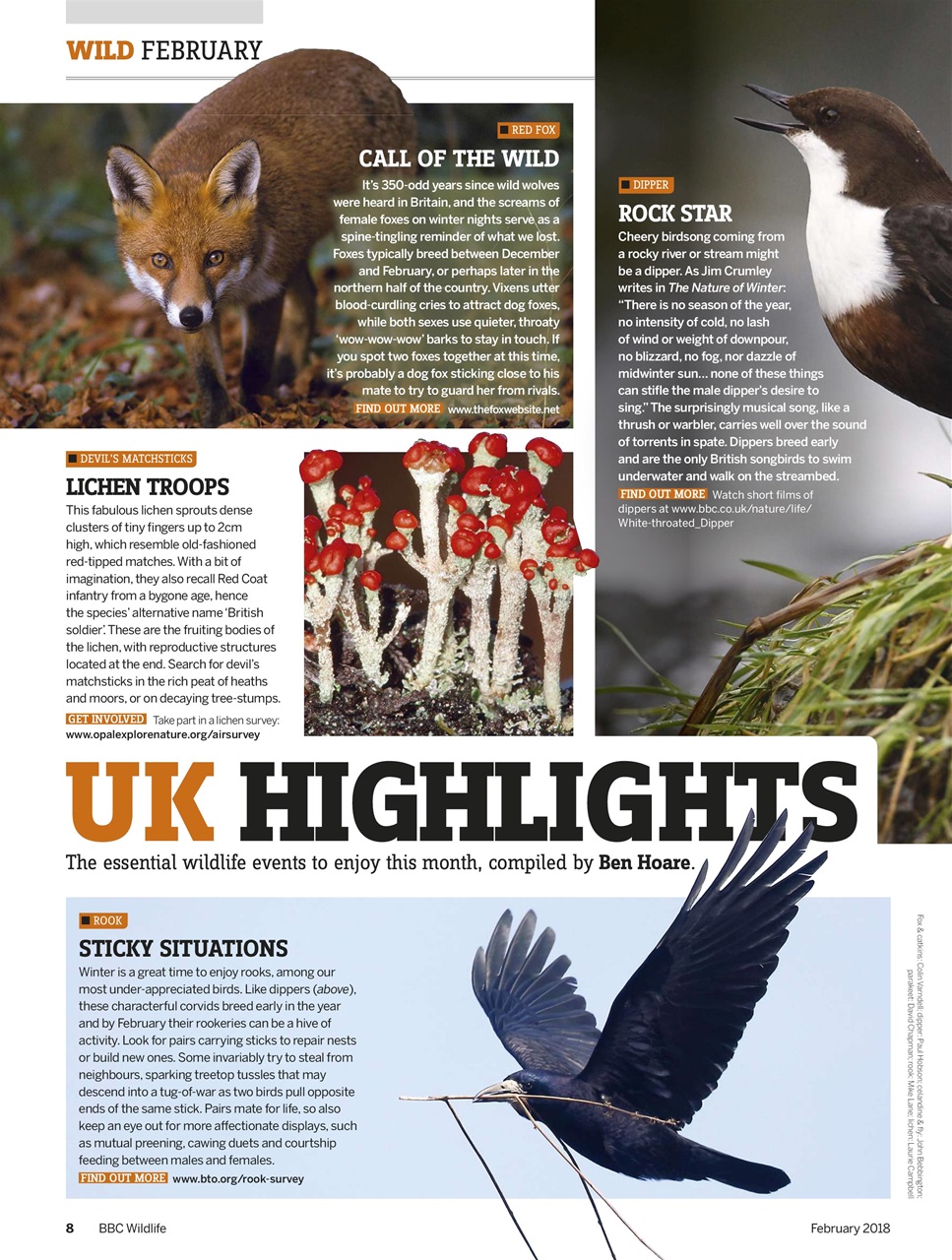 BBC Wildlife Magazine Preview Pages