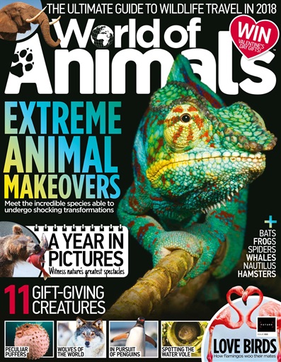 World of Animals issue 