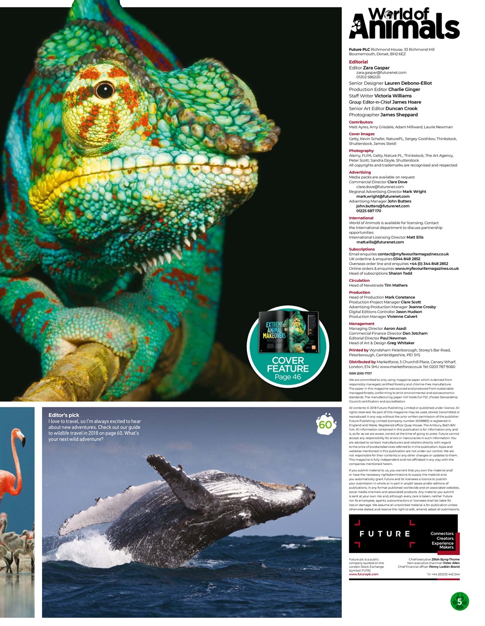 World of Animals Preview Pages