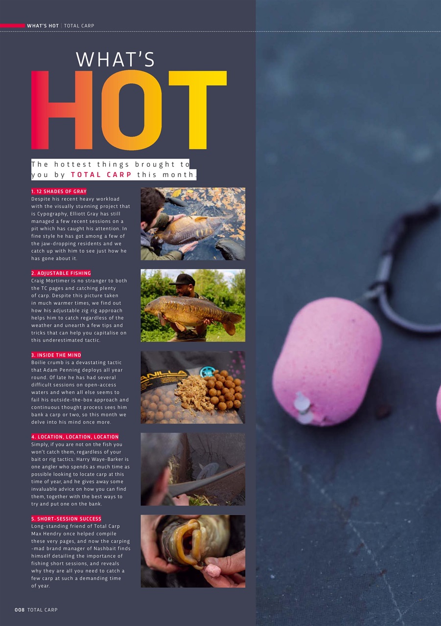 Total Carp Preview Pages