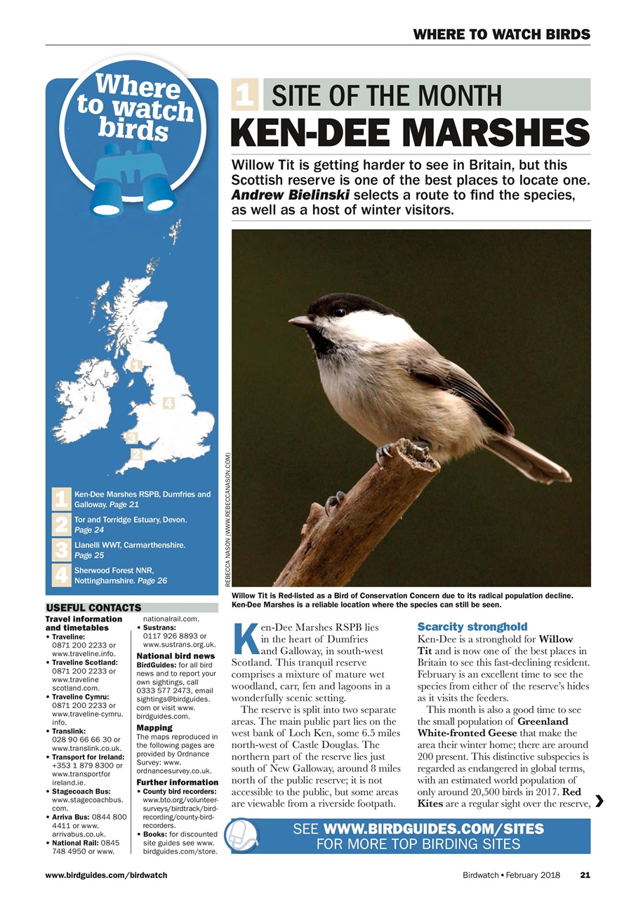 Birdwatch Magazine Preview Pages