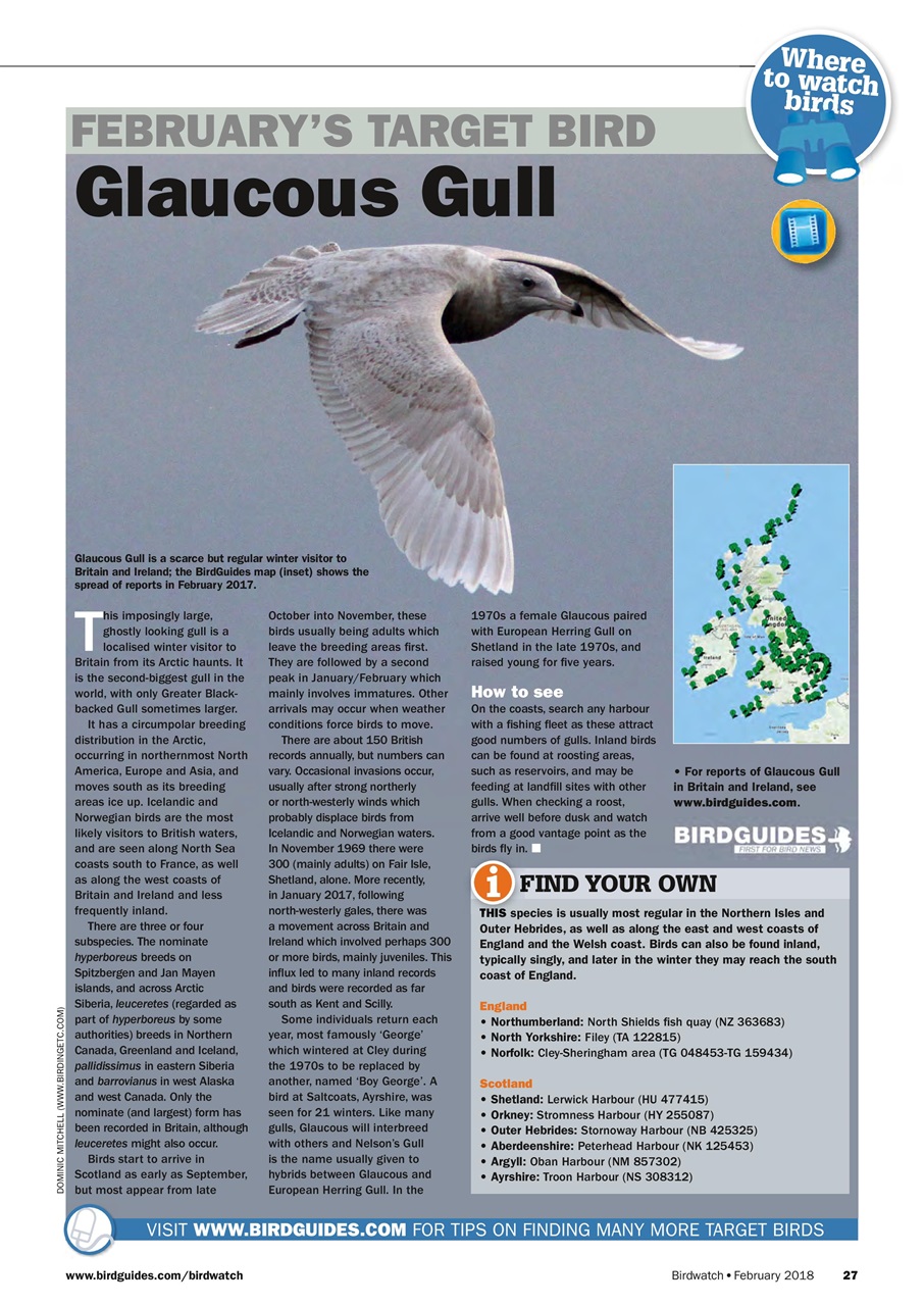 Birdwatch Magazine Preview Pages