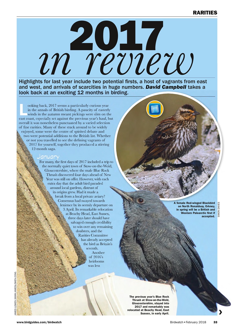 Birdwatch Magazine Preview Pages