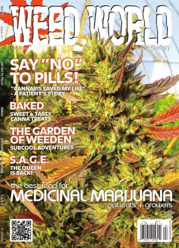 Weed World issue 