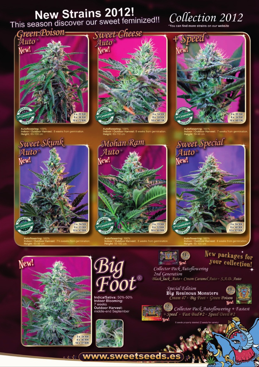 Weed World Preview Pages