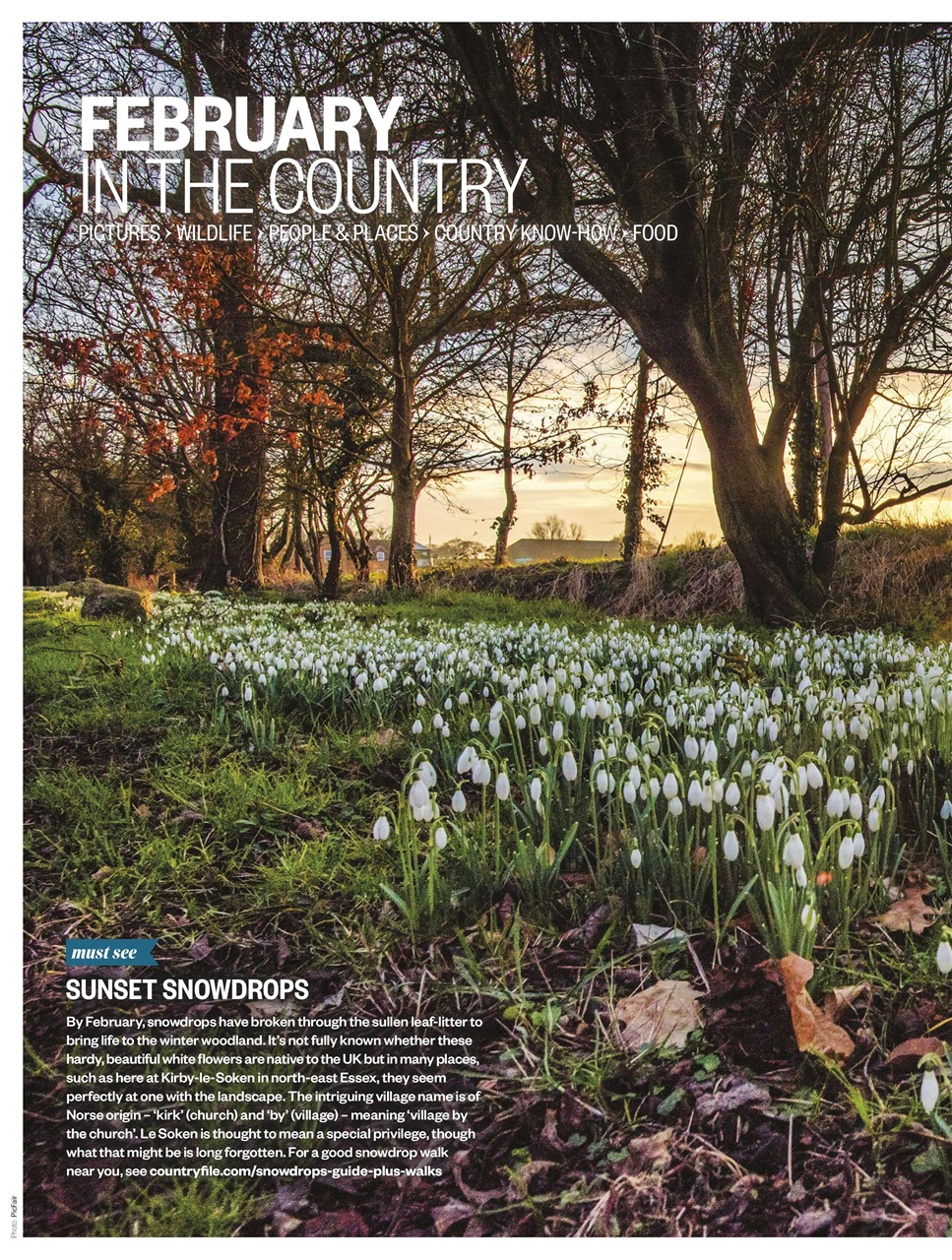 BBC Countryfile Magazine Preview Pages