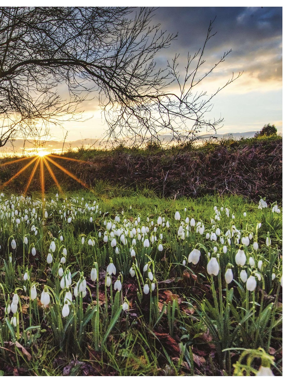 BBC Countryfile Magazine Preview Pages