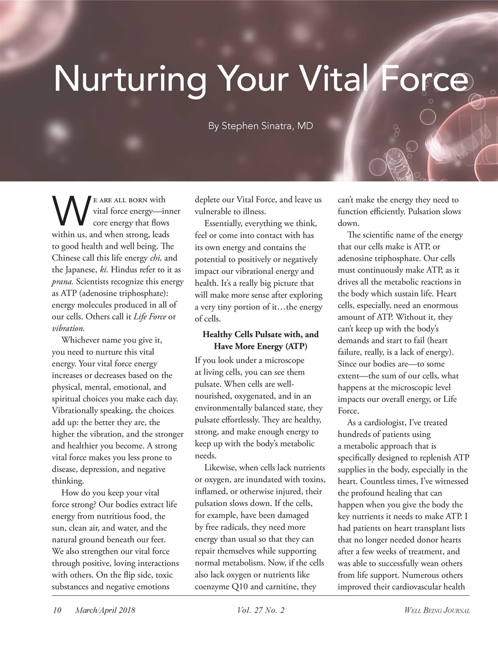 Well Being Journal Preview Pages