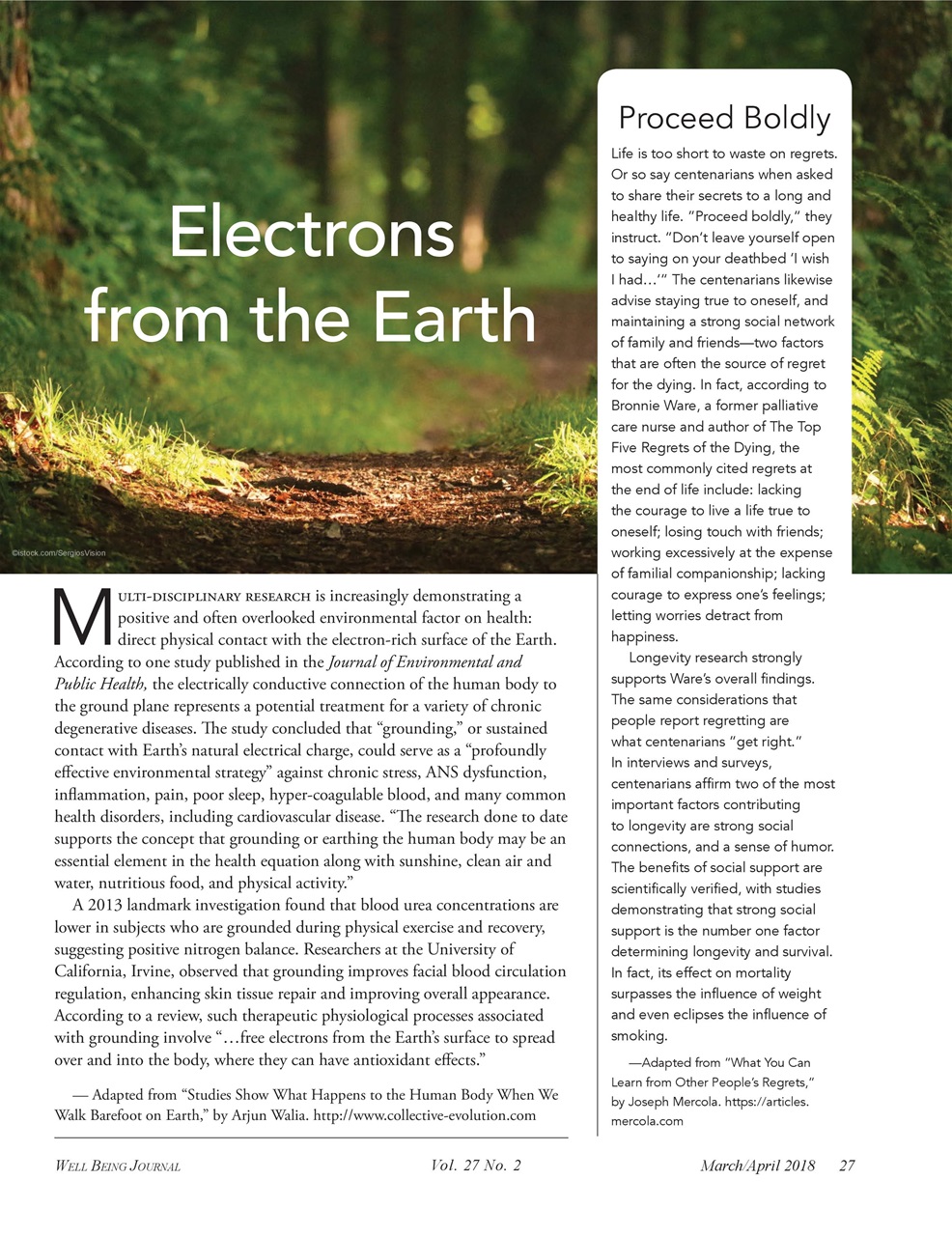 Well Being Journal Preview Pages